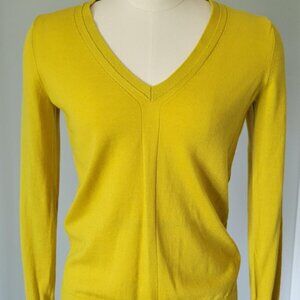 Banana Republic Merino Wool V Neck Sweater